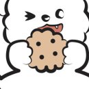 리틀퍼피 이미지