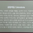 경희소금빛한의원 네이버블로그