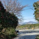 점주가든 이미지