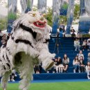 ACC 아시아 패션쇼 이미지