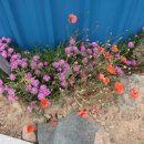 천곡 마을회관 이미지