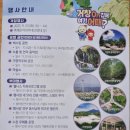 거창읍-8 | [9월 가볼만한 곳] 아스타국화 만개한 거창 감악산 별바람언덕 (+축제정보추가)