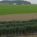 마을정자 옆 이미지