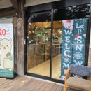 성체유치원 | [제주도 아이와 가볼만한곳] 애월 도치돌알파카목장 먹이주기 체험 후기