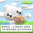 돈워리비해피
