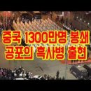신세기방역 네이버블로그