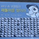 (주)김녕요트투어 | 제주 김녕요트투어 내돈내산 후기(제주미니 특가)