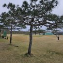 경산 골프연습장 찾다가 스윙 감 잡은 해림골프 후기