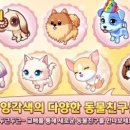 헬로우펫 이미지