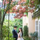 모호스튜디오