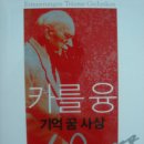 카를 융-기억 꿈 사상 이미지