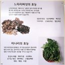 구좌리얼크니손칼국수 | 융건릉 근처 식당-[구좌리얼크니손칼국수 화성점] 내돈내산 솔직후기 (운영시간,주차,가격,메뉴 정보 등)