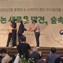 사천편백림