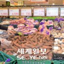 별별,당근이야기 이미지