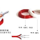 정온 이미지