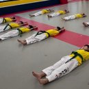 경희대 에이스 태권도 이미지