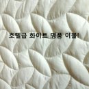 아라리펜션 이미지