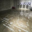 제주 스탠다드 이미지