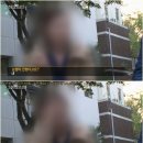 토끼눈썹 이미지