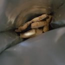 터치드바이뉴질랜드 이미지