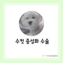 다정한 동물병원 이미지