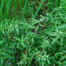 강대희한의원 이미지