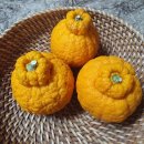 삼진농장 이미지