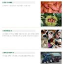 황소민박 이미지