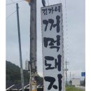 꺼먹돼지 이미지