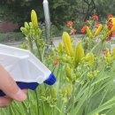 산야초가든 이미지