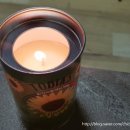 도연디엔피 이미지