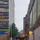 올포유구리