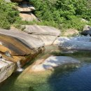 국화향기펜션 이미지