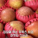 이미자 | 마켓림 산사과 후기, 껍질째 먹는 꿀사과! 이미자사과 추천