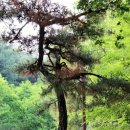 인천대공원(정문) 이미지