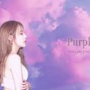 Se.A(세아)