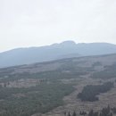 행복 숲 태권도장 | 3.1절에 제주도민들도 찾는 오름, 애월 소길리 "큰노꼬메오름" 후기