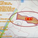 긴뿌리농장 네이버블로그