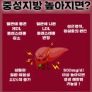 중성지방정상수치 음식 운동 영양제로 관리한 후기
