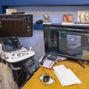 메디펫동물병원 이미지