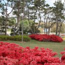 능금농장 이미지