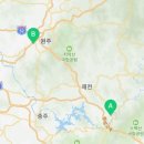 단양장의사