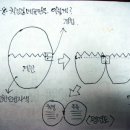 치킨집 메뉴판 이건 어때요?(사진포함) 이미지