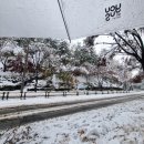 상갈초교 사거리 이미지