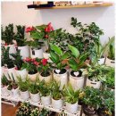 꽃담정원 이미지