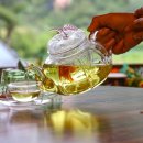 행운을 주는 산도깨비 이미지