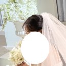 감탄공주 | 📸 세미앙스튜디오 웨딩촬영 후기｜원본부터 감탄했던 스튜디오, 공주놀이 성공!👑