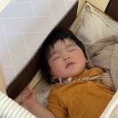 구원1 | 바쁜 육아맘의 구원템, 믿고 먹이는 베베쿡 후기1 이유식 솔직 후기