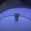 포레스트 빌리지 이미지