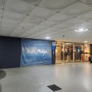 자라호텔평화광장점 이미지